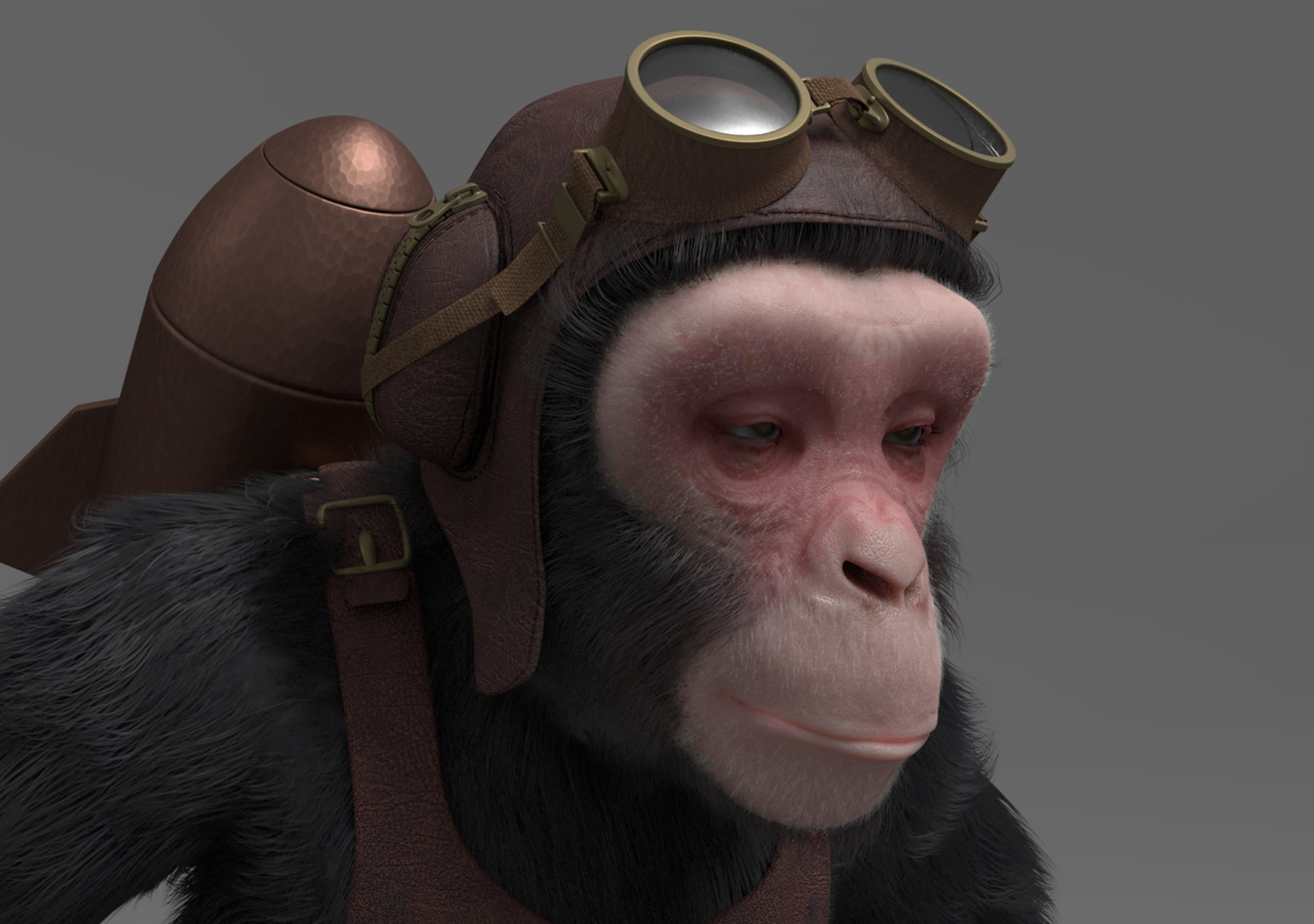 Chimp